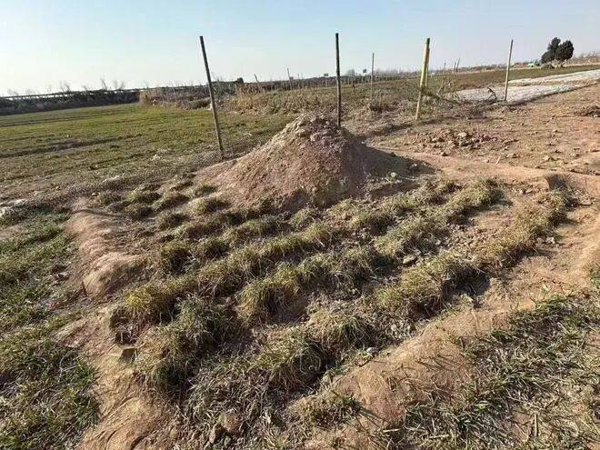 最新！三姐妹為父上墳被炸死案，大伯王某東已被執行死刑:金屬制品廠
